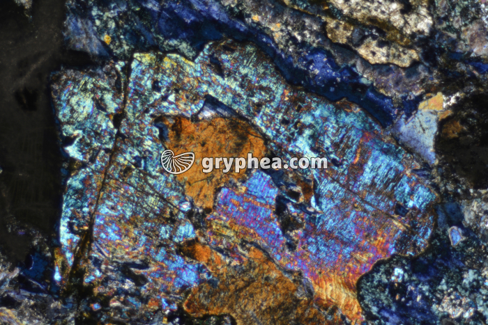 Glaucophane LPA x25 - gryphea.org